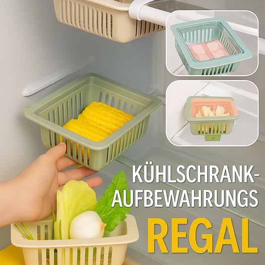 Erweiterbares Aufbewahrungsregal für Kühlschränke